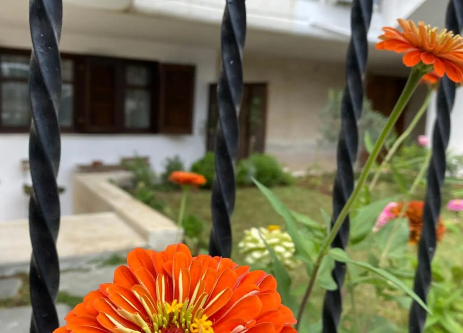 Aldebaran House Apartment Nea Fokea